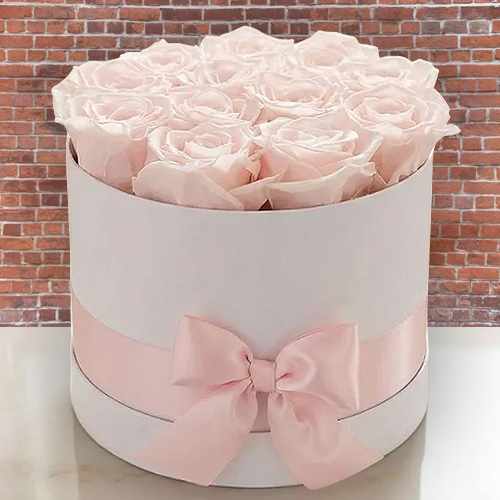 Champagne Pink Forever Roses
