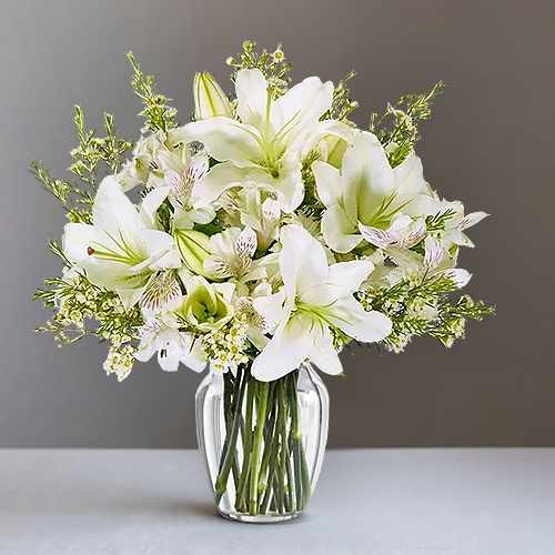 Elegant White Expressions