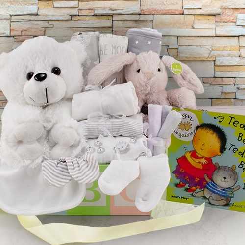 Sweet Baby Arrival Gift Basket