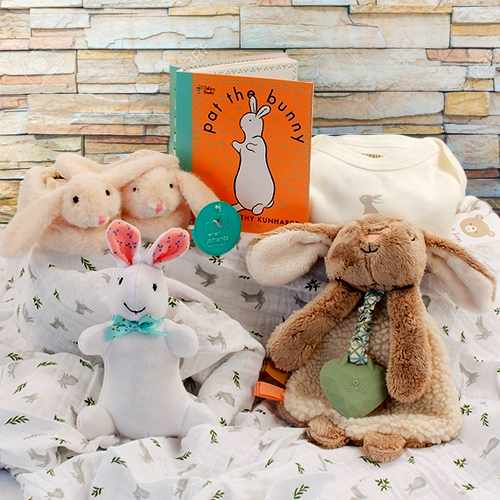 Baby Bunny Book N Toy Set