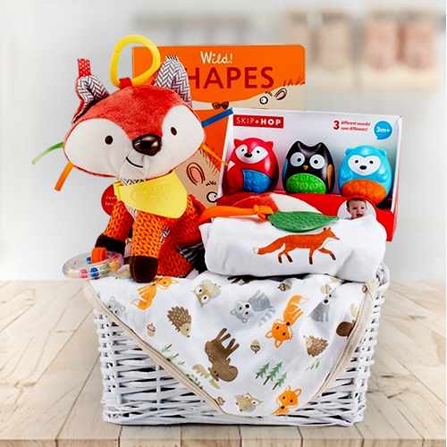 Sweet Fox Baby Collection