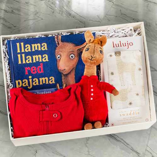 Baby Llama Book N Plush Set