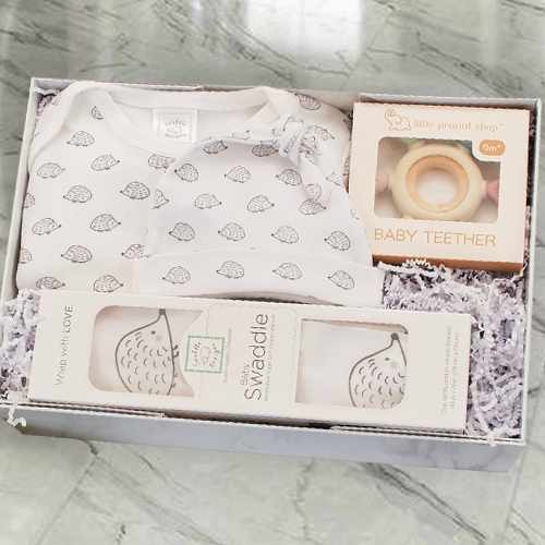 Sweet Hedgehog Gift Bundle