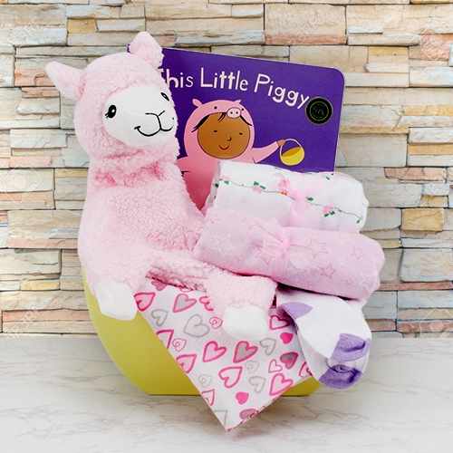 Sweet Dreams Baby Girl Gift Set