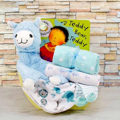 Little Princess Sleepytime Basket