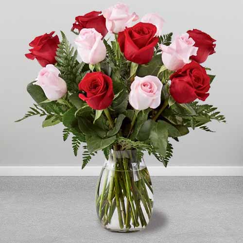 12 Red And Pink Roses